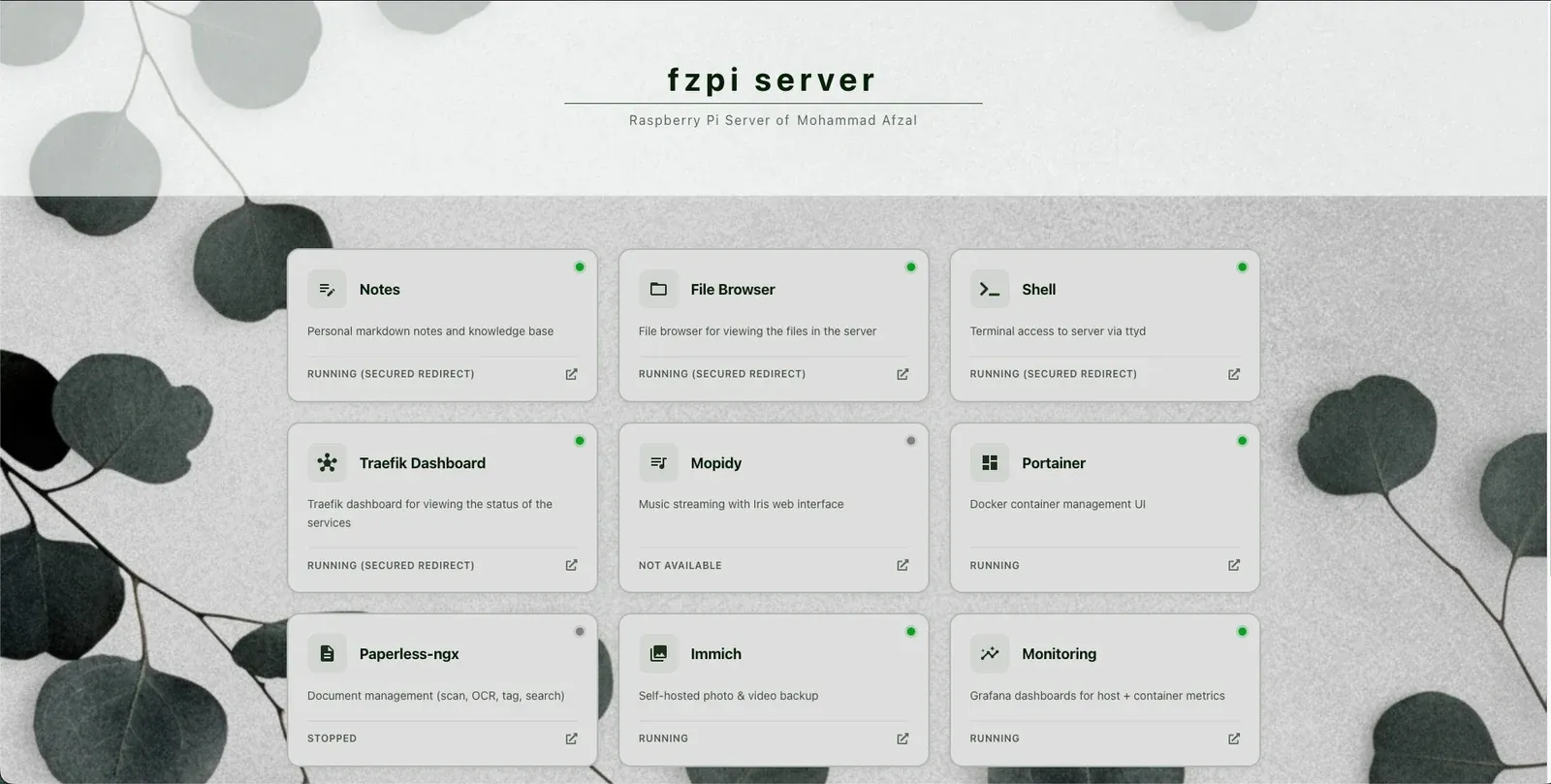 My fzlaunchpad dashboard on a Raspberry Pi, showing nine self-hosted services and their current states.